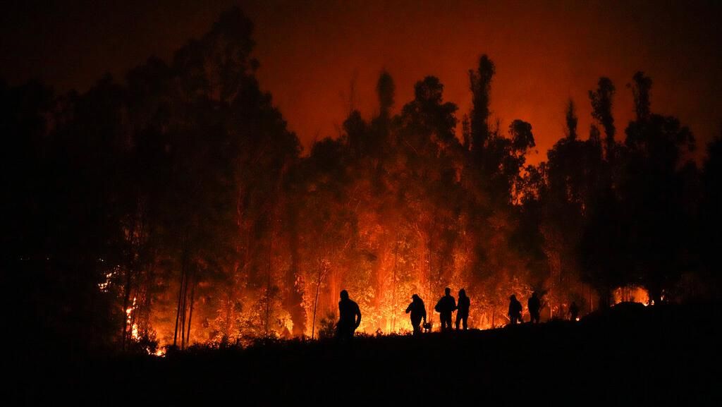 Hutan di Chile Membara Terbakar Angin Panas