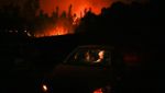 Hutan di Chile Membara Terbakar Angin Panas