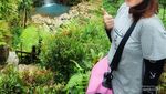 Cantiknya Curug Pasir Reungit di Bogor, Air Kolamnya Biru