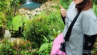 Pemandangan di sekitar air terjun begitu cantik.