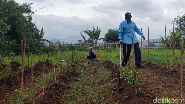Para petani 'Tuman' Tumbuh Mandiri di Kota Cimahi