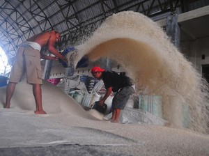 Kopdes Merah Putih Belum Tentu Bisa Gantikan Tengkulak