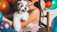Terakhir ada momen Patricia Gouw saat merayakan ulang tahun Zozo, anjing peliharaanya. Tak tanggung-tanggung ia memberikan kue ultah mini.  Foto: Instagram @patriciagouw