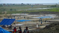 Kemenhub menganggarkan Rp730,19 miliar untuk pengembangan 18 bandara perbatasan, terisolir, dan rawan bencana termasuk Bandara Rokot Mentawai untuk meningkatkan konektivitas antarwilayah di Indonesia.