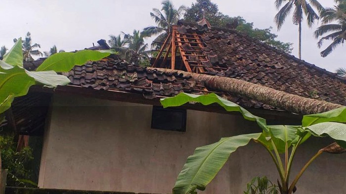 Pohon tumbang menimpa rumah warga hingga rusak di Karangasem, Bali, Senin (6/2/2023).