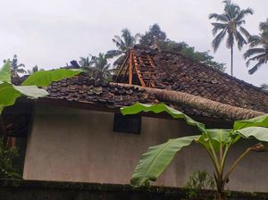 Puluhan Pohon Tumbang-2 Orang Terluka karena Angin Kencang