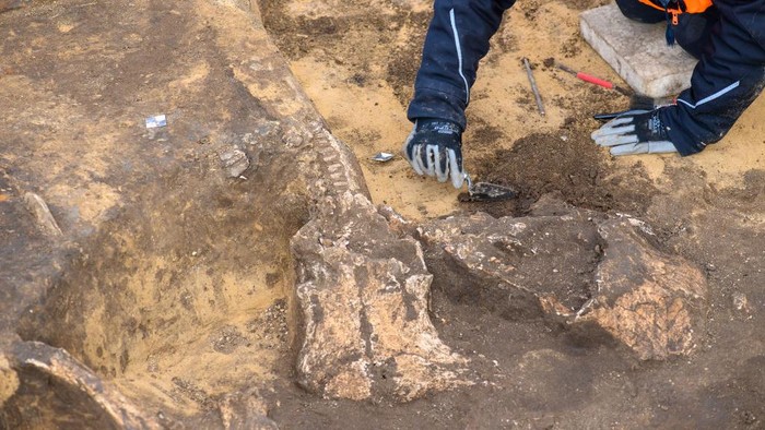 Potret Makam 48 Abad Ditemukan di Lokasi Bakal Pabrik Truk di Jerman Para arkeolog menemukan makam berusia 48 abad alias 4.800 tahun di lokasi bakal kawasan industri Halberstadt-Ost, Jerman.