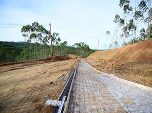 Cara Daftar Lowongan PPNPN Otorita IKN, Lengkap dengan Jadwal dan Syarat