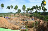 Progres Fisik Infrastruktur Di IKN Capai 14%, Begini Penampakannya