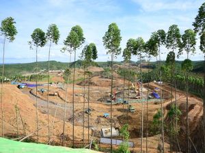 IKN Mulai Dibangun, Kapan 16.000 PNS Pindah?
