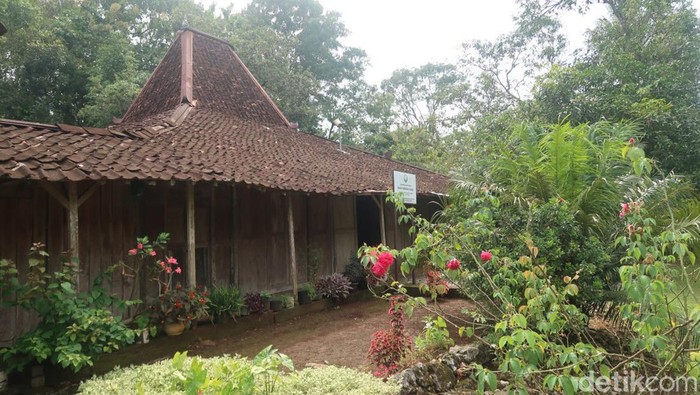 Rumah joglo berusia 250 tahun milik Suwardi (78) di Pedukuhan Trengguno Kidul, Kalurahan, Sidorejo, Kapanewon Ponjong, Kabupaten Gunungkidul. Foto diunggah Senin (6/2/2023).