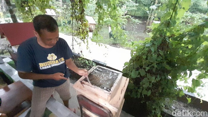 Supardi, warga Pangandaran pembudidaya lebah