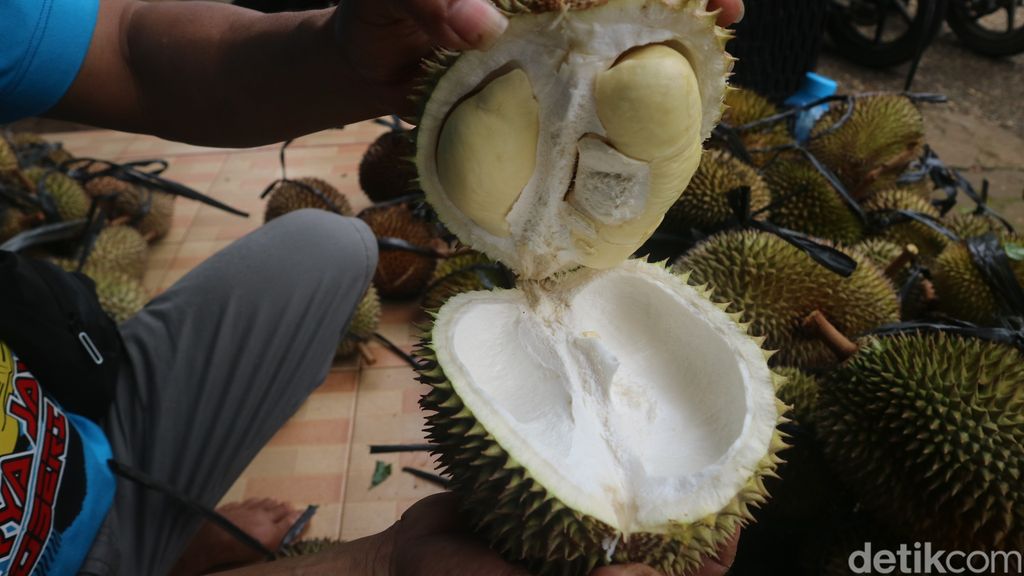 Buah durian lokal asal Desa Karangsari, Cluwak, Pati, Selasa (7/2/2023).