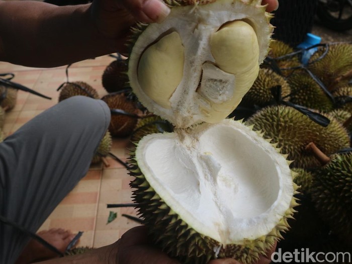Buah durian lokal asal Desa Karangsari, Cluwak, Pati, Selasa (7/2/2023).