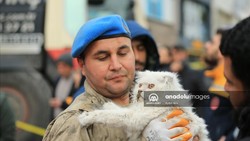 Viral Kucing Diselamatkan dari Reruntuhan Gempa, Bukti Turki Sayang Hewan