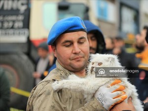 Viral Kucing Diselamatkan dari Reruntuhan Gempa, Bukti Turki Sayang Hewan