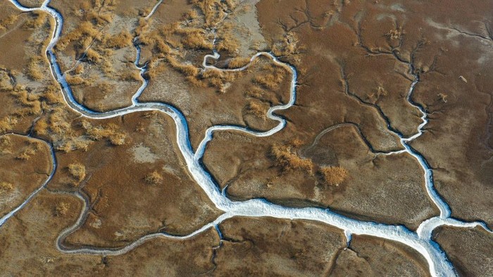 Cuaca yang dingin di China, membuat sejumlah sungai membeku. Salah satunya sungai Liaohe ini, bentuk sungai beku ini cukup unik, yakni menyerupai pohon.