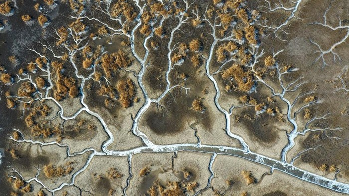 Lanskap Gambar Pohon di Sungai Liaohe China yang Beku Cuaca yang dingin di China, membuat sejumlah sungai membeku. Salah satunya sungai Liaohe ini, bentuk sungai beku ini cukup unik, yakni menyerupai pohon.