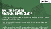 Foto: Infografis (M Fakhry/detikcom)