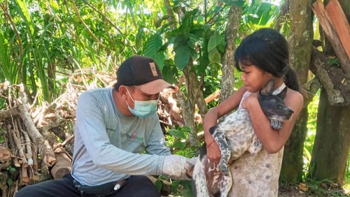 Petugas dari Puskeswan saat melakukan vaksinasi rabies terhadap anjing di Kabupaten Karangasem beberapa waktu yang lalu. (istimewa)