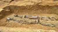 Pedang panjang itu adalah contoh dari dako, yaitu pedang dengan bilah bergelombang atau gelombang yang khas. Mirip dengan keris dari Indonesia. Foto: Public domain via Live Science