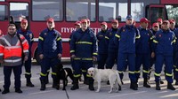 Petugas pemadam kebakaran Yunani dengan anjing menunggu untuk menaiki pesawat militer di Pangkalan Angkatan Udara Elefsina, di barat Athena, Yunani, Senin (6/2/2023). AP/Thanassis Stavrakis  