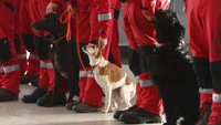Anggota tim pencarian dan penyelamatan perkotaan (USAR) dari petugas pemadam kebakaran Ceko bersiap untuk terbang ke Turki yang dilanda gempa. AP/Jaroslav Ozana  