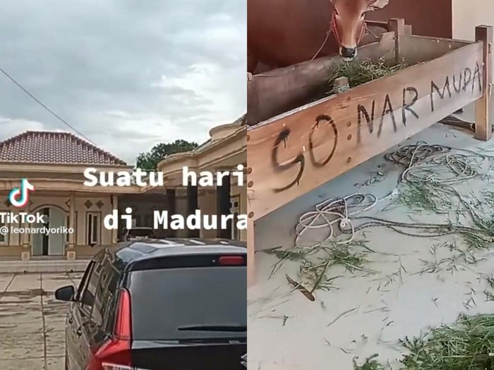 Viral rumah mewah sultan di Madura isinya sapi mendadak jadi sorotan warganet di media sosial. Viral rumah mewah sultan di Madura isinya sapi mendadak jadi sorotan warganet di media sosial.