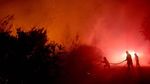 Aksi Petugas Menembus Hutan Membara di Chili