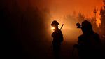 Aksi Petugas Menembus Hutan Membara di Chili
