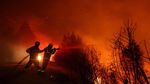 Aksi Petugas Menembus Hutan Membara di Chili