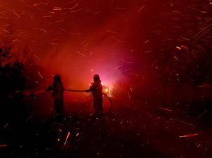 Aksi Petugas Menembus Hutan Membara di Chili