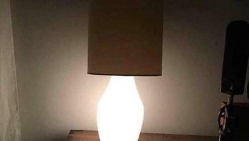 Sebentar, sepertinya terbalik ya? Foto: (Bored Panda).