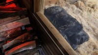 Bantuan juga datang dari Jerman. Tim di Kebun Binatang Berlin berhasil mengumpulkan 400 ribu euro atau sekitar Rp 6,5 miliar sebagai kontribusi dari para simpatisan untuk membayar generator dan barang-barang lainnya.  