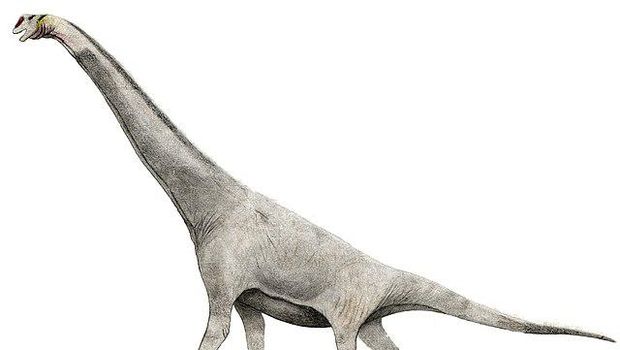 Brachiosaurus