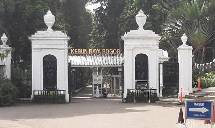 Cara ke Kebun Raya Bogor naik KRL bisa dilakukan dari Stasiun Jakarta Kota, Stasiun Bogor, Stasiun Bekasi, dan Stasiun Tangerang. Yuk, simak langkah-langkahnya di sini.