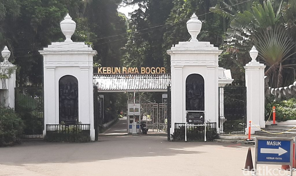 Cara ke Kebun Raya Bogor naik KRL bisa dilakukan dari Stasiun Jakarta Kota, Stasiun Bogor, Stasiun Bekasi, dan Stasiun Tangerang. Yuk, simak langkah-langkahnya di sini.