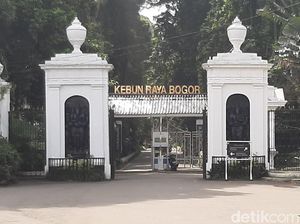 Cara ke Kebun Raya Bogor Naik KRL, Cek Rutenya!