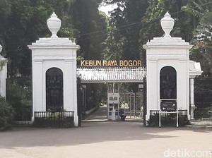 5 Wisata Alam di Jawa Barat yang Bisa Didatangi Pulang Pergi dari Jakarta