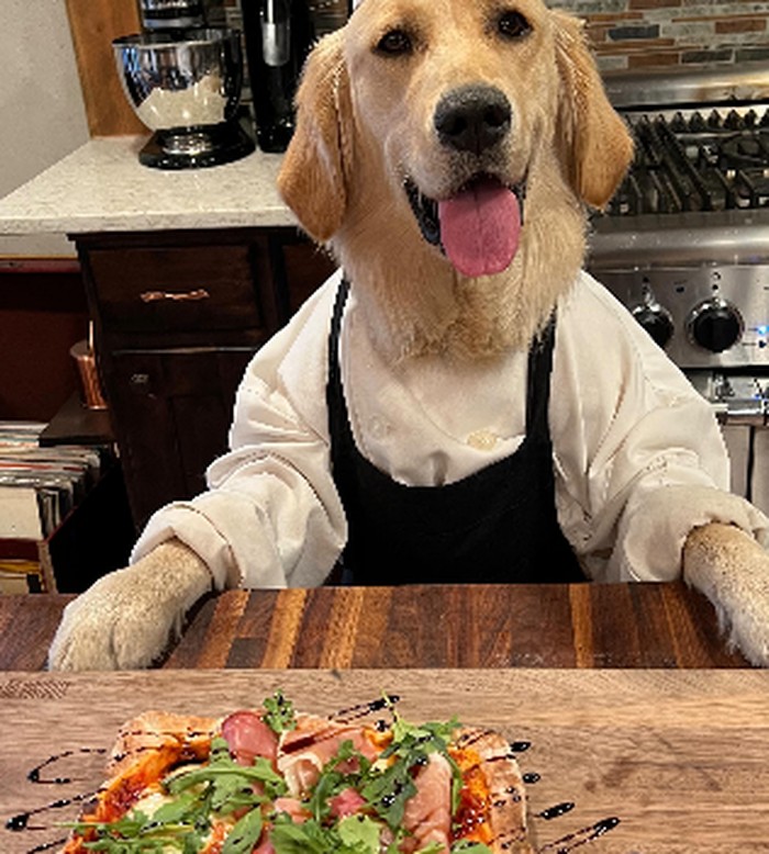 Chef Badger Chef Badger, anjing golden retriever yang jago memasak.
