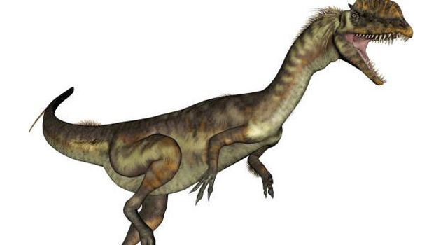 Dilophosaurus.