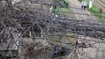 Ini Kabel atau Sarang Laba-laba?