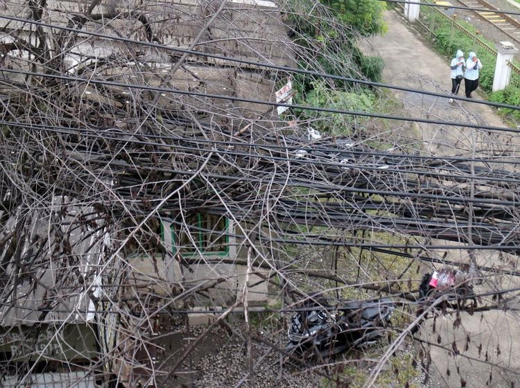 Ini Kabel atau Sarang Laba-laba?