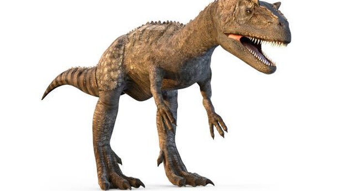 Allosaurus