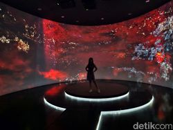 Jepretan Kamera Galaxy S23 Ultra, Warna Tertangkap Sempurna!