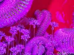 Jepretan Kamera Galaxy S23 Ultra, Warna Tertangkap Sempurna!