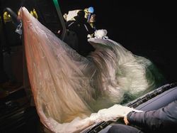 Penampakan Puing Balon Misterius China yang Ditembak AS
