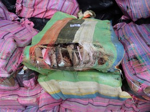 Selandia Baru Temukan Kokain Senilai Rp 4,7 T Mengapung di Lautan