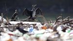 Penampakan Sampah yang Memenuhi Sungai Lim di Serbia