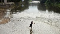 Hal itu terjadi karena kawasan hulu atau Puncak, Kabupaten Bogor tidak mengalami hujan deras sejak sepekan ini. 
